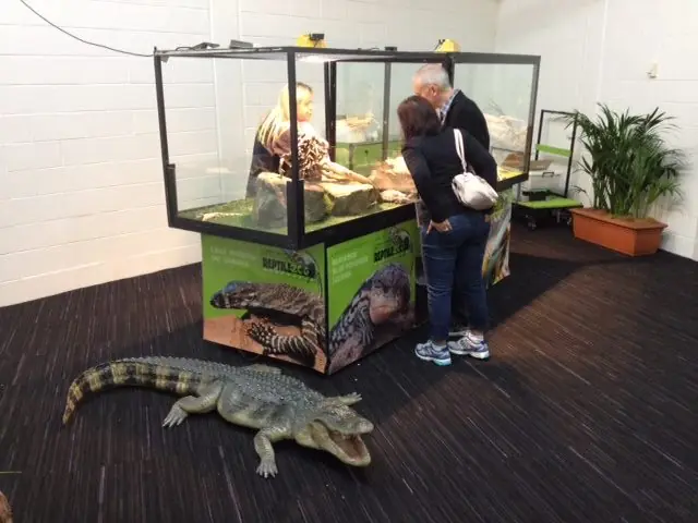 A mobile reptile display set up indoors with a handler beside it