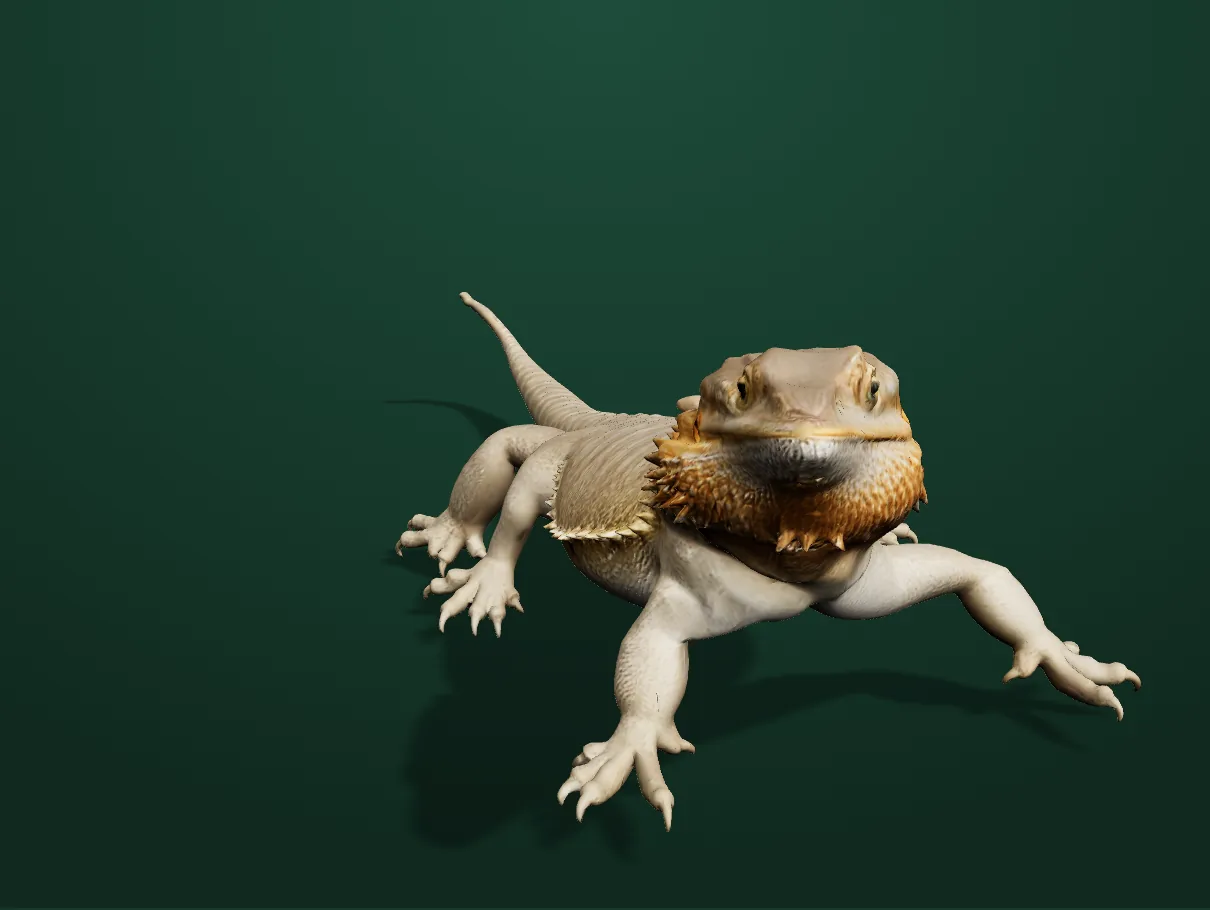 A 3D model of a central bearded dragon facing the camera, with its spiny beard and banded tail